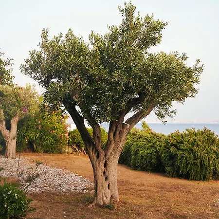 Βίλα Lia Άγιος Σώστης